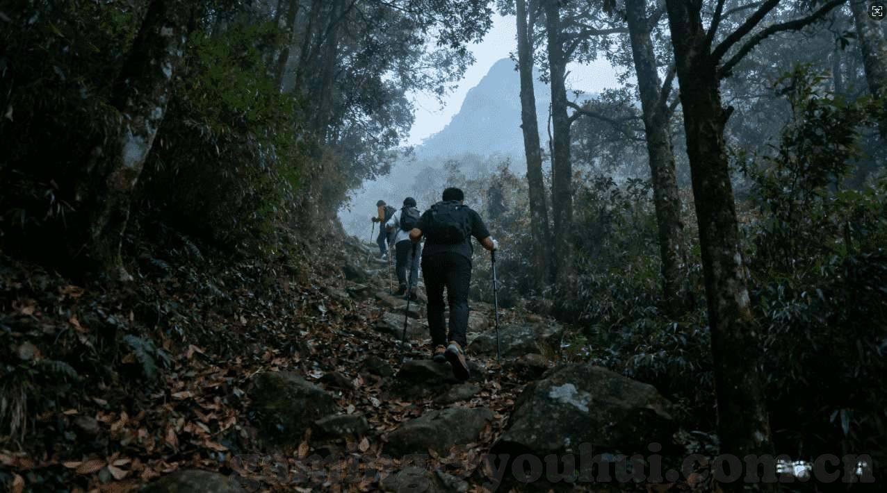 乐鱼体育开了几年了-乐鱼体育，四年耕耘，铸就卓越体育平台
