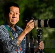 诛仙手游九游版下载-诛仙手游九游版详细指南，下载体验与亮点解析